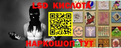 apvp Камышлов